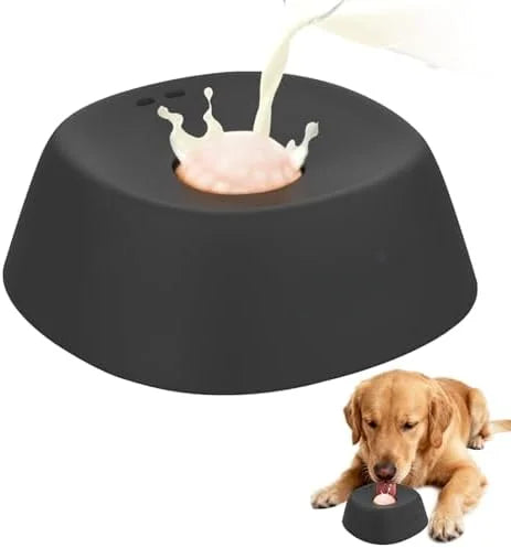 Anti-Choke Slow Feeding Dog Bowl with Fun Maze Design