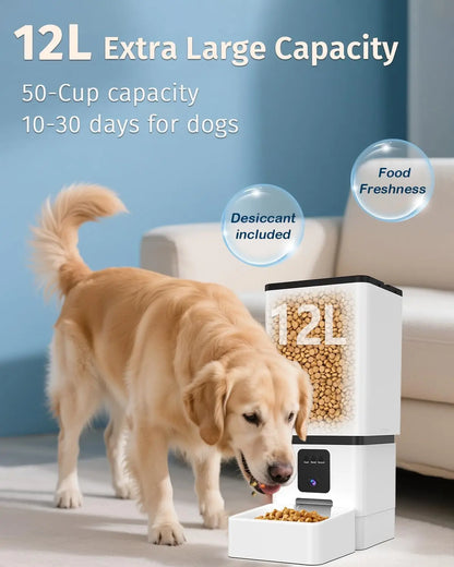 Smart Automatic Dog Feeder