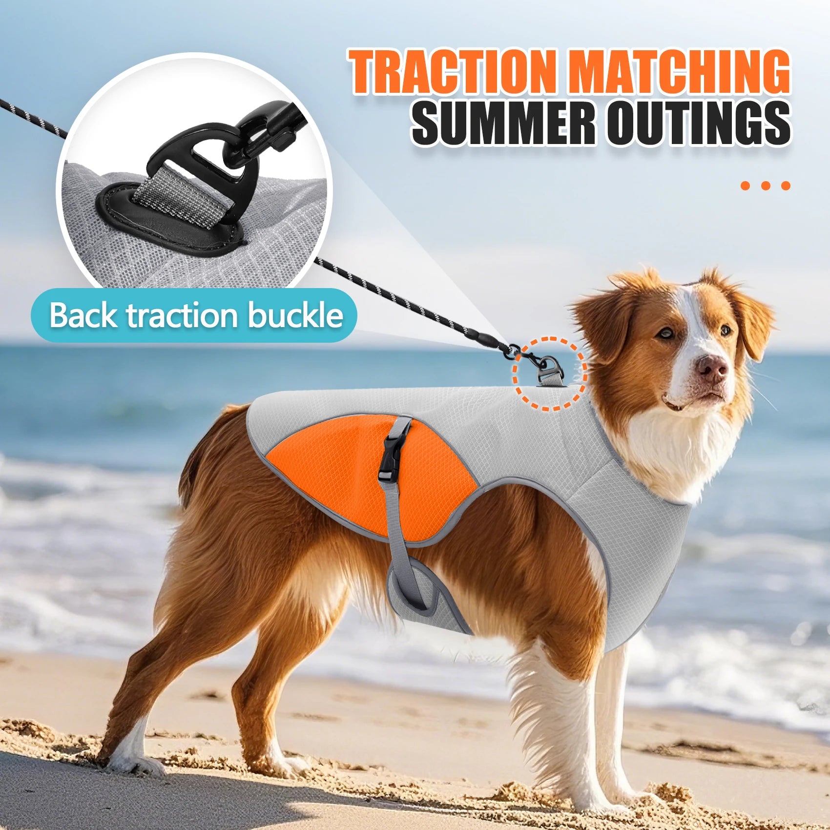 Ultimate Cooling Adventure Harness System For Dogs