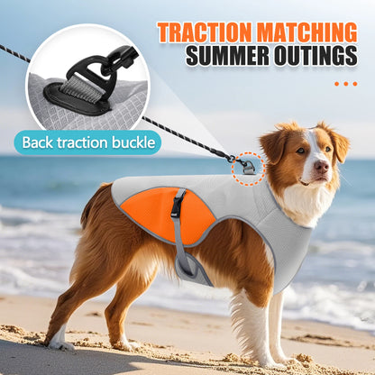 Ultimate Cooling Adventure Harness System For Dogs